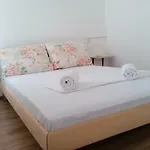 招待所 Maja